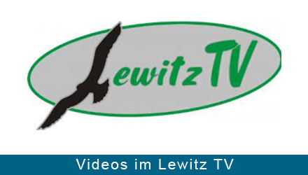 lewitz TV